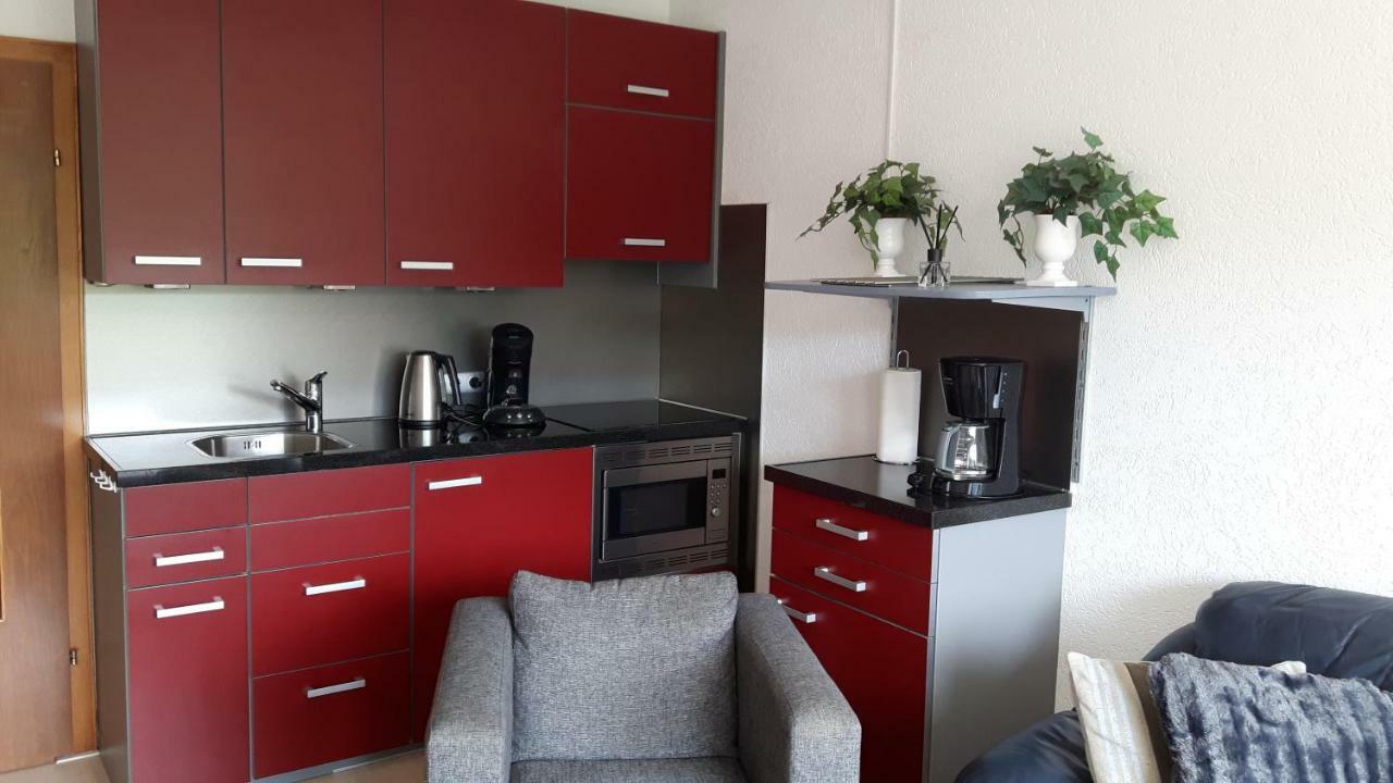 Gemuetlicher Ferienwohnung In Niedersfeld Bei Winterberg, Kostenloses Wlan Dış mekan fotoğraf